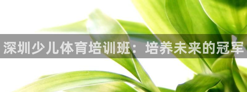 焦点娱乐平台登录不了怎么办：深圳少儿体育培训班：培养