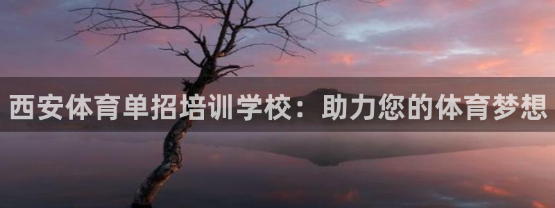 焦点娱乐平台注册账号是什么：西安体育单招培训学校：助