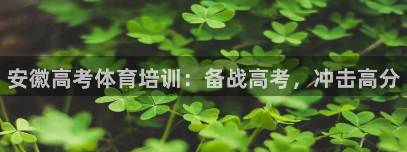 焦点娱乐公司：安徽高考体育培训：备战高考，冲击高分